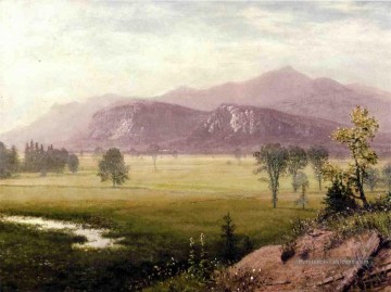 Conway Meadows à New Hampshire Albert Bierstadt Peinture à l'huile